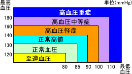 成人の血圧の区分